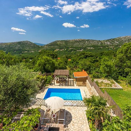 Villa Cocoon - Vacation Home With Heated Pool & Garden Bribir  Eksteriør bilde